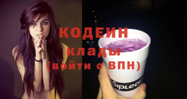 хмурый Армянск