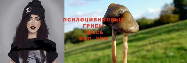 хмурый Армянск