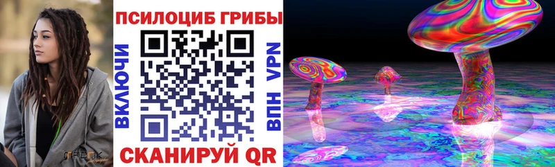 Псилоцибиновые грибы Cubensis  Старая Купавна 